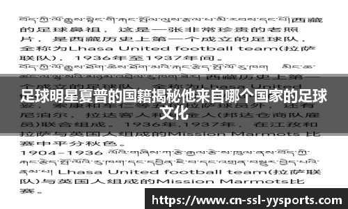 YYSPORTS官网